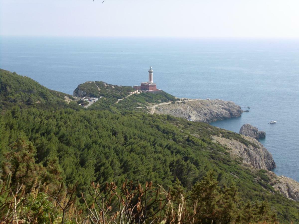 아나카프리 La Campagnola 아파트 외부 사진